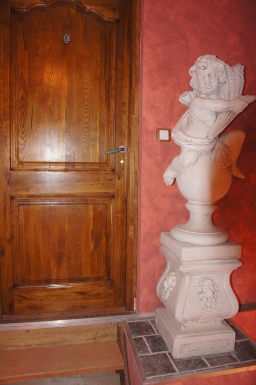 Aux Logis De La Solre Bed and Breakfast Ferrière-la-Petite Værelse billede