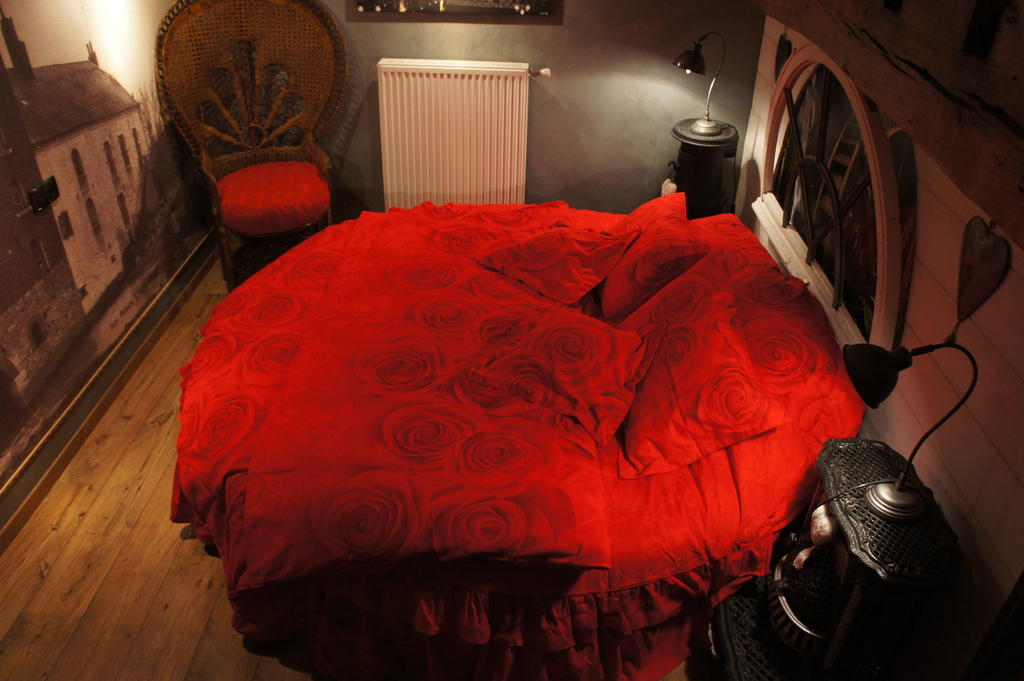Aux Logis De La Solre Bed and Breakfast Ferrière-la-Petite Værelse billede